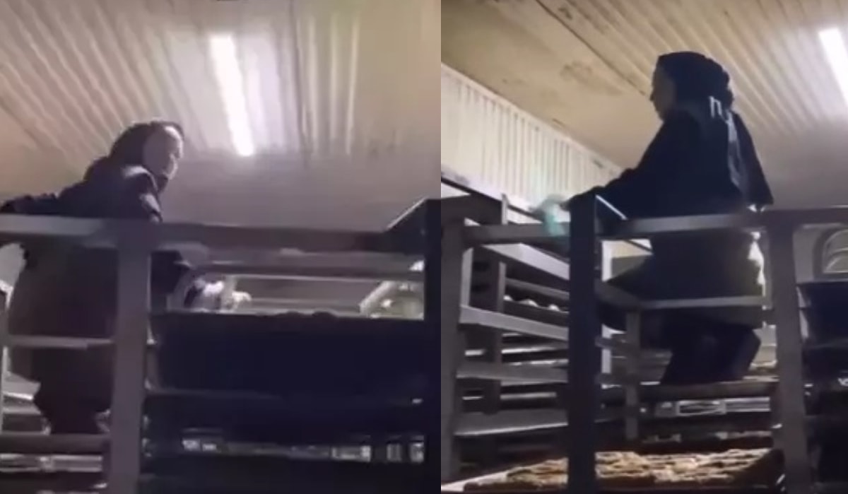 Fırında müstehcen görüntüye gözaltı