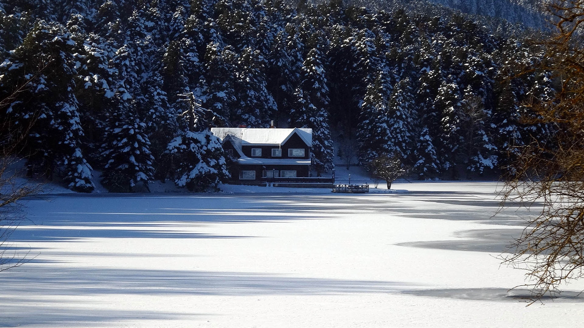 Gölcük Tabiat Parkı'ndaki göl buz tuttu