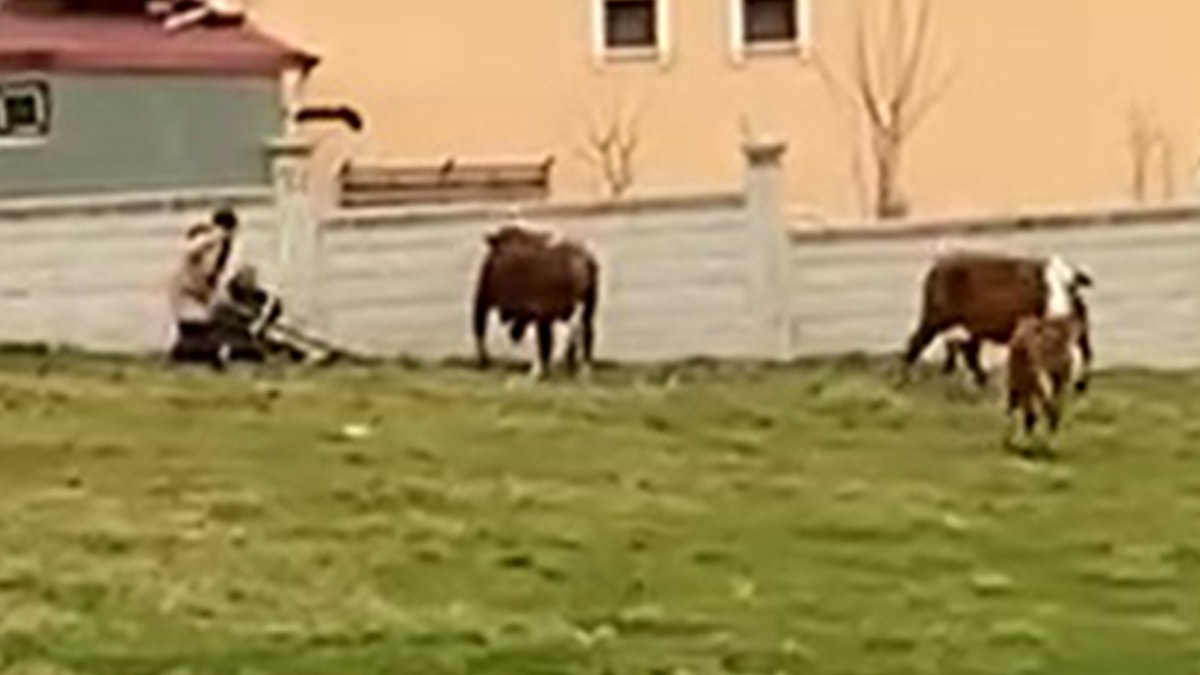 İlçe bu cesur kadını konuşuyor