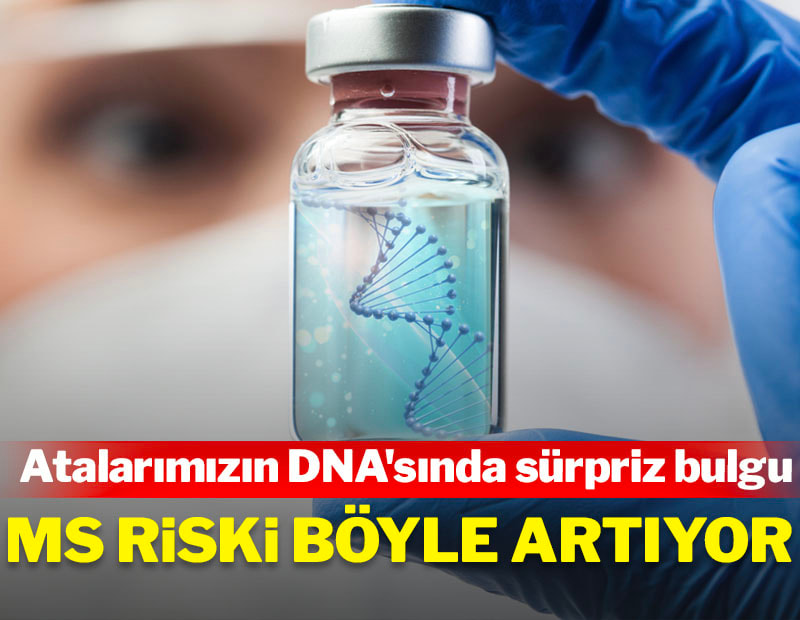 Atalarımızın DNA'sında sürpriz bulgu