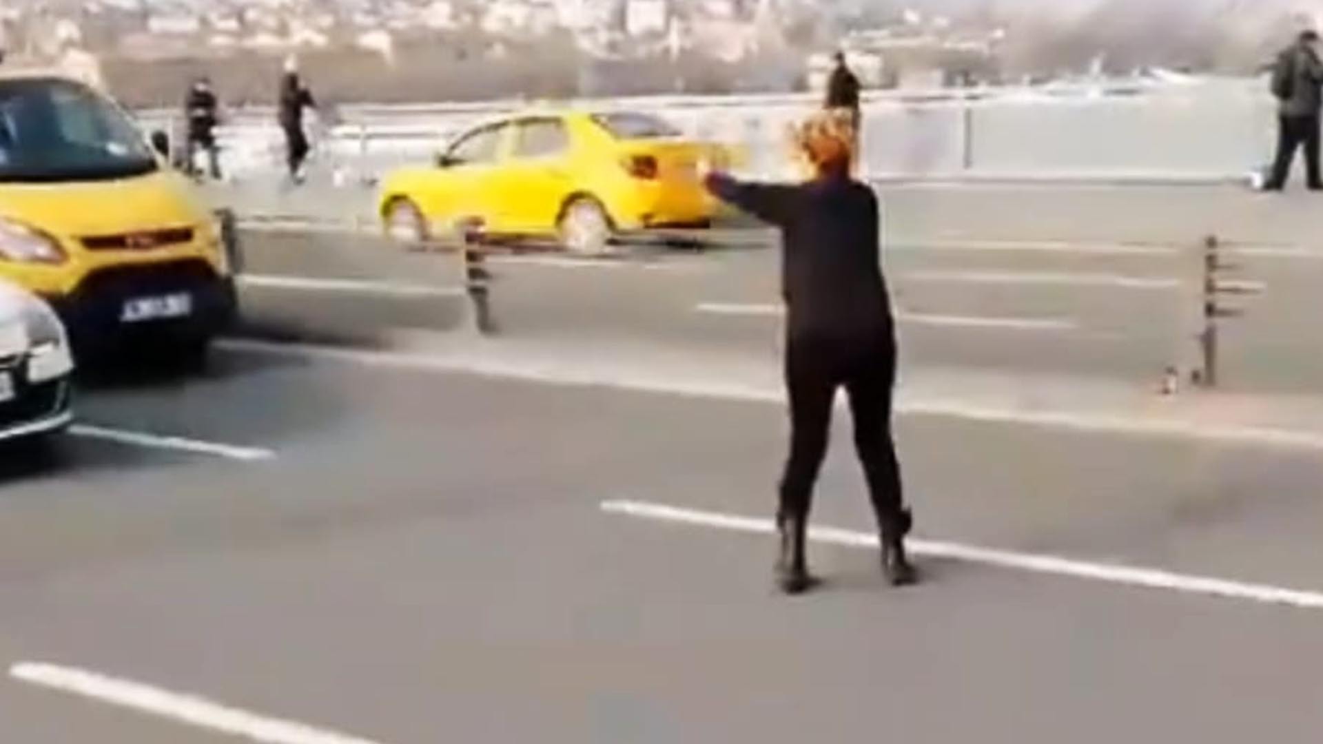 Yavru kedi için trafiği durdurdu