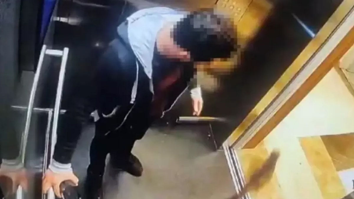 Asansörde kediyi ezerek öldüren o cani yakalandı