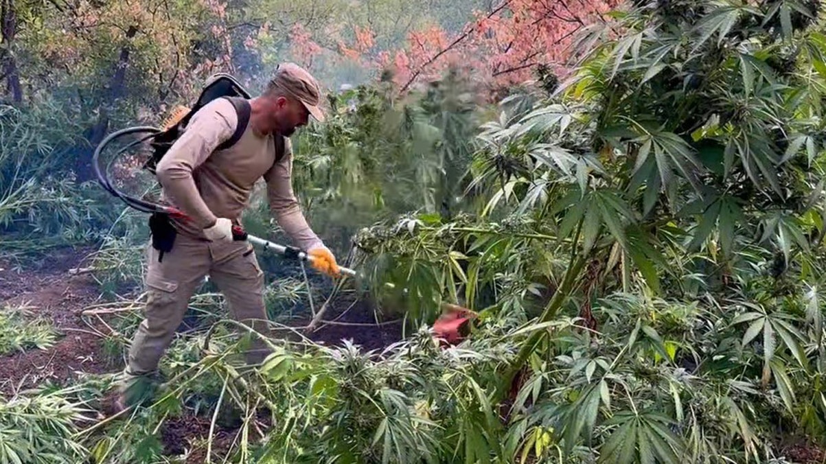 Diyarbakır'ın bir yıllık uyuşturucu bilançosu dudak uçuklattı