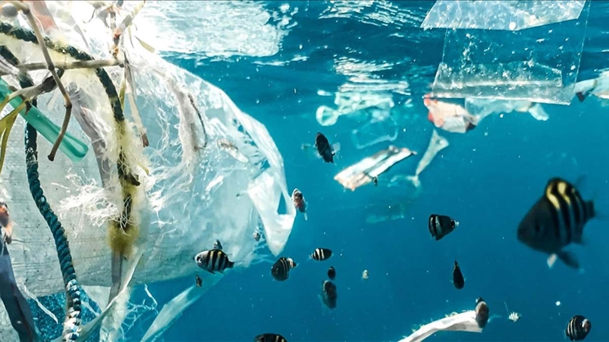 Akdeniz'deki plastik kirliliğinin boyutu alarm veriyor