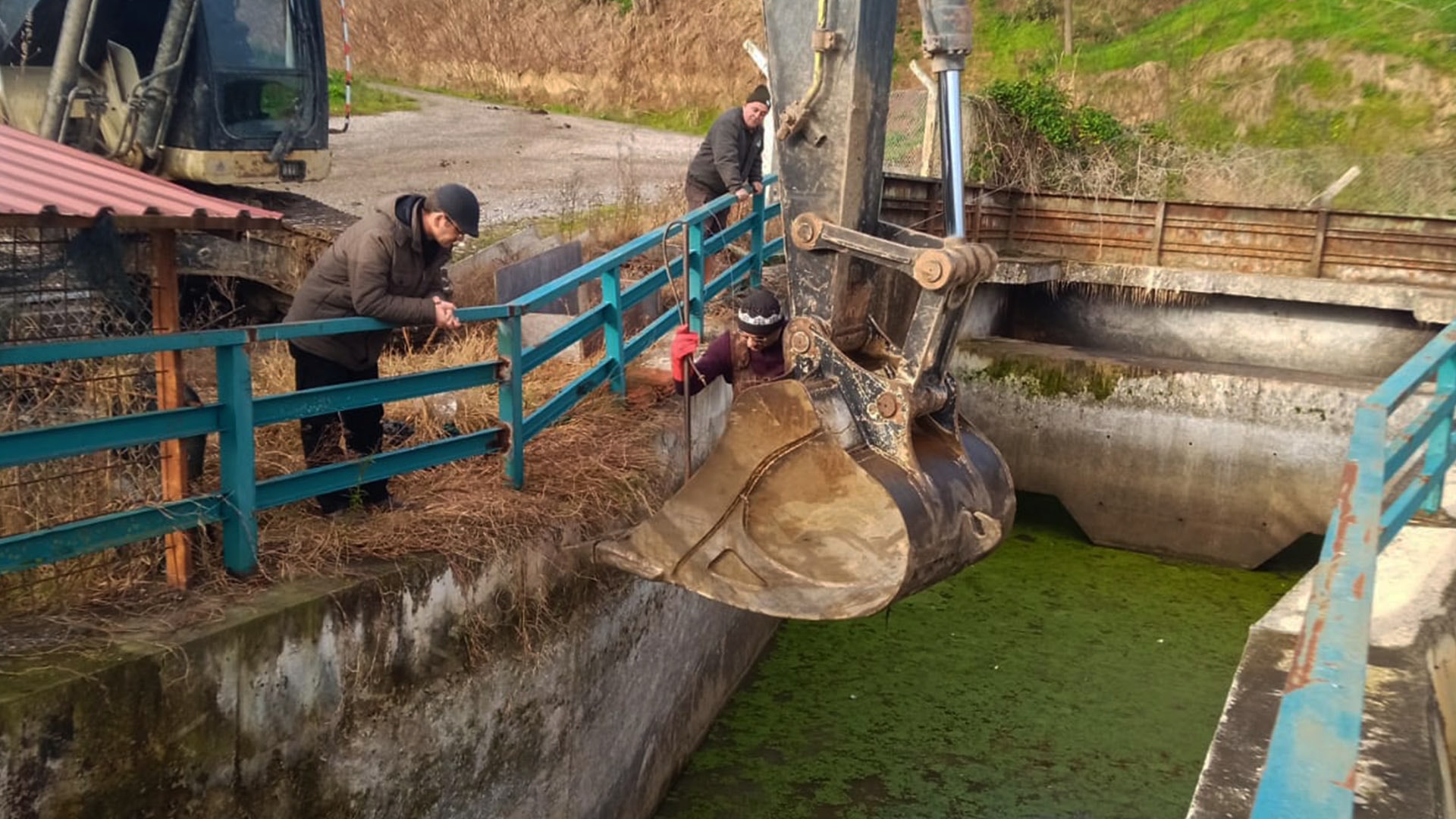 Su kanalına düşen porsuk kurtarıldı