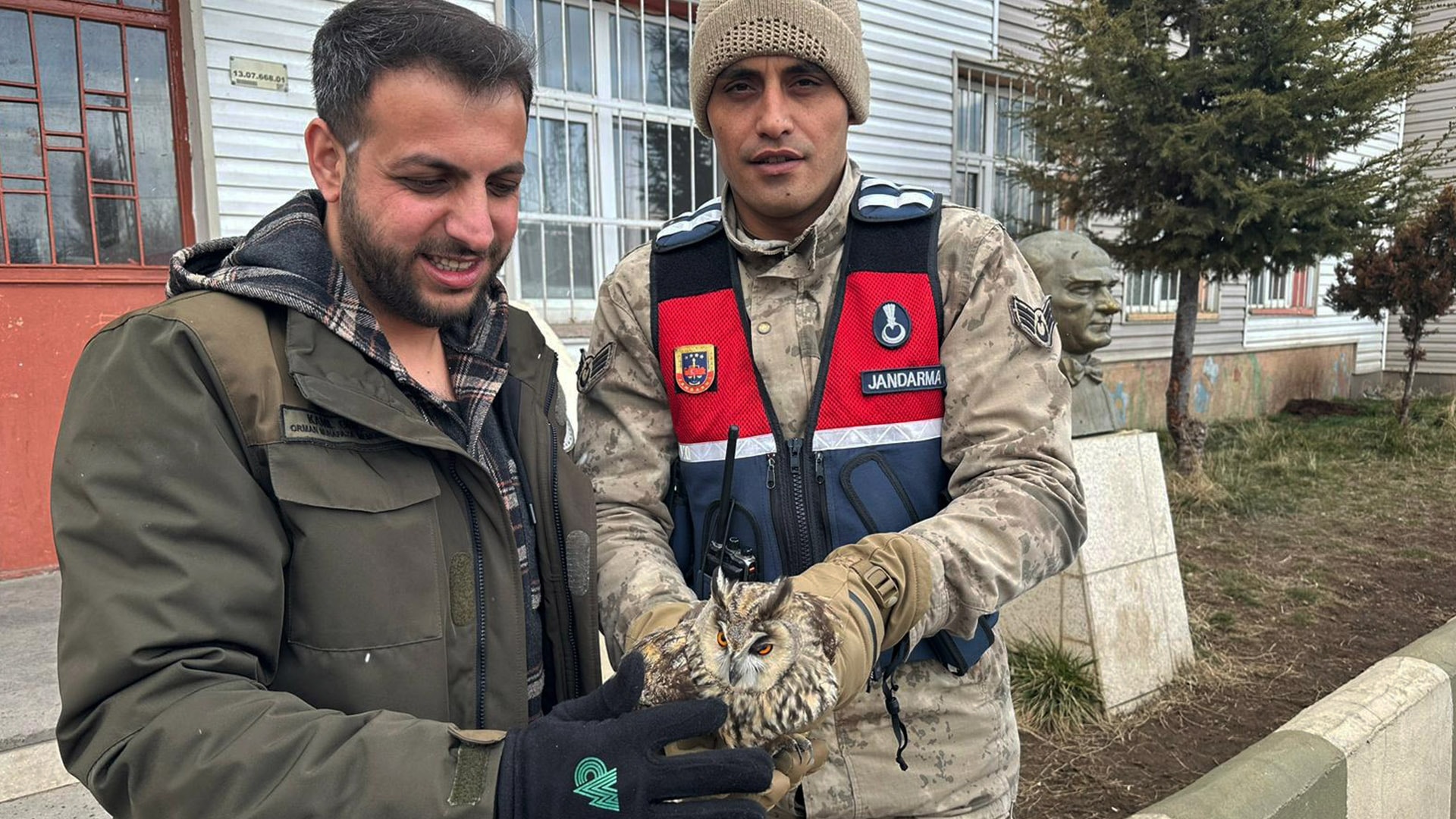 Yaralı bulunan puhu tedavide