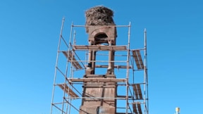 Tarihi çan kulesinin restorasyonu için leyleklerin göçü beklendi