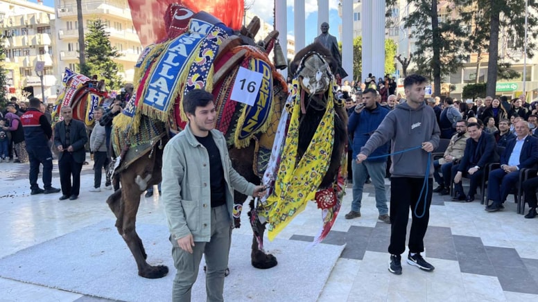 Antalya'da 'en süslü deve' yarışması düzenlendi