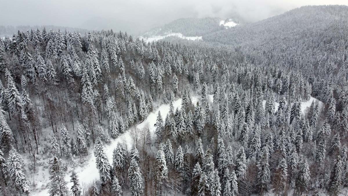 1600 rakımlı Çangal Dağı'ndaki kar manzarası büyüledi