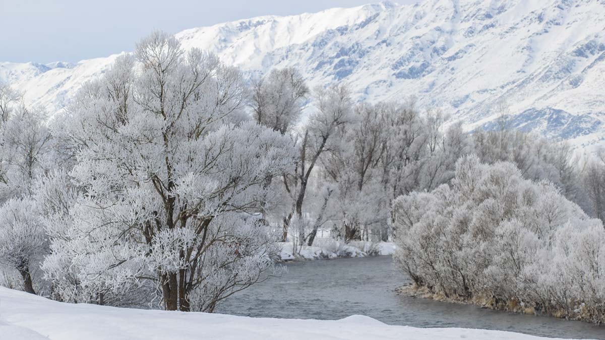 Tunceli'de ağaçlar buzdan heykellere dönüştü