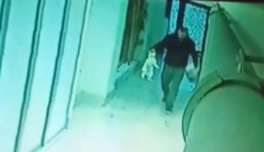 Kedileri öldürüp apartmanın bahçesine atarken yakalandı