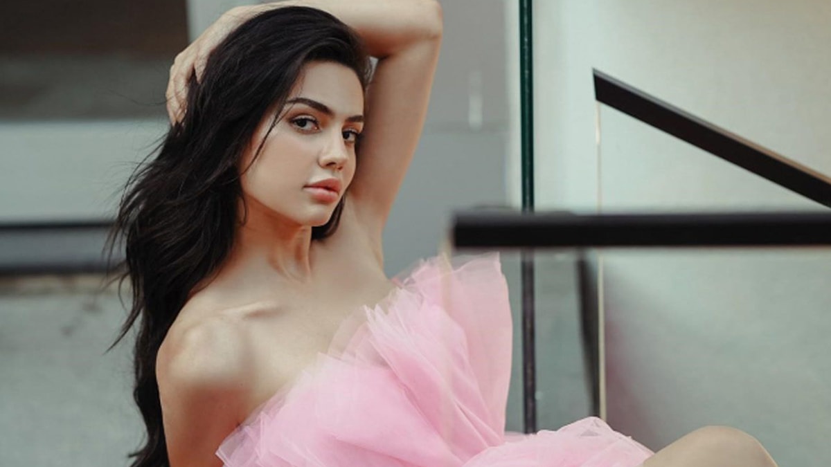 Ece Ronay'a haciz şoku