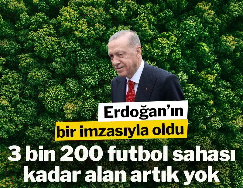 Erdoğan'ın bir imzasıyla 3 bin 200 futbol sahası kadar alan ormanlık vasfından çıkarıldı