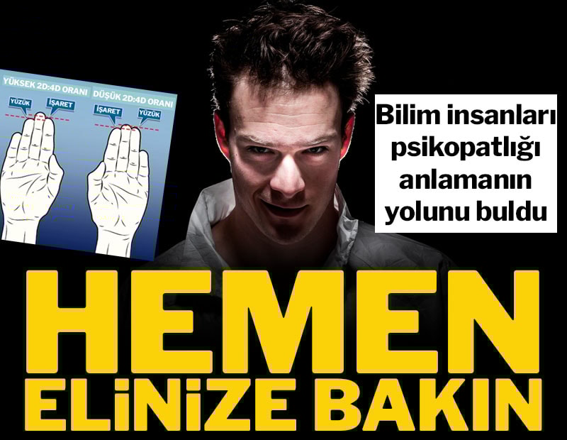 İşaret parmağınız yüzük parmağınızdan kısa mı? Bilim insanlarından çarpıcı araştırma