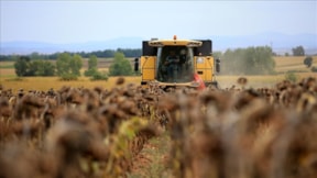 Türkiye'de çiftçi sayısı 2 milyon 177 bine düştü