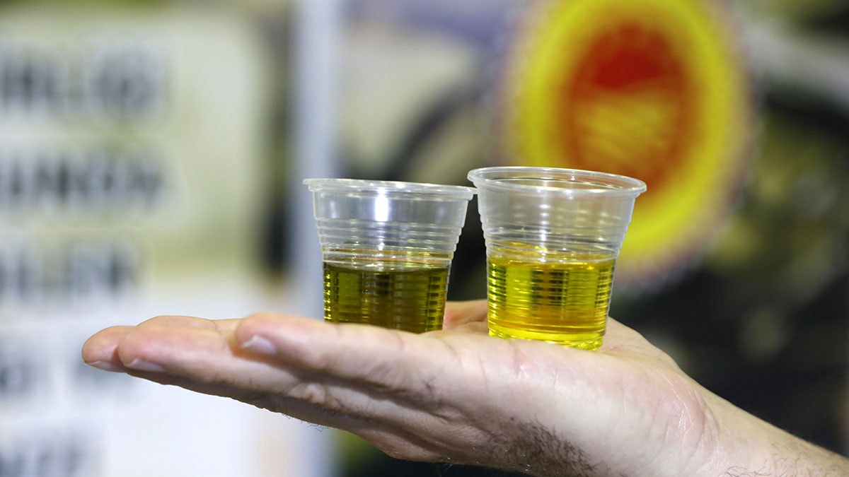 Uzman isim anlattı: Gerçek zeytinyağı nasıl anlaşılır?