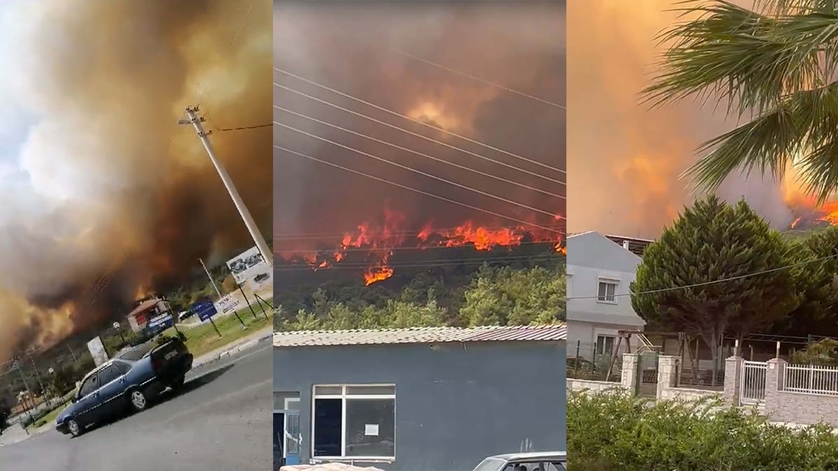 İzmir Foça'da orman yangını