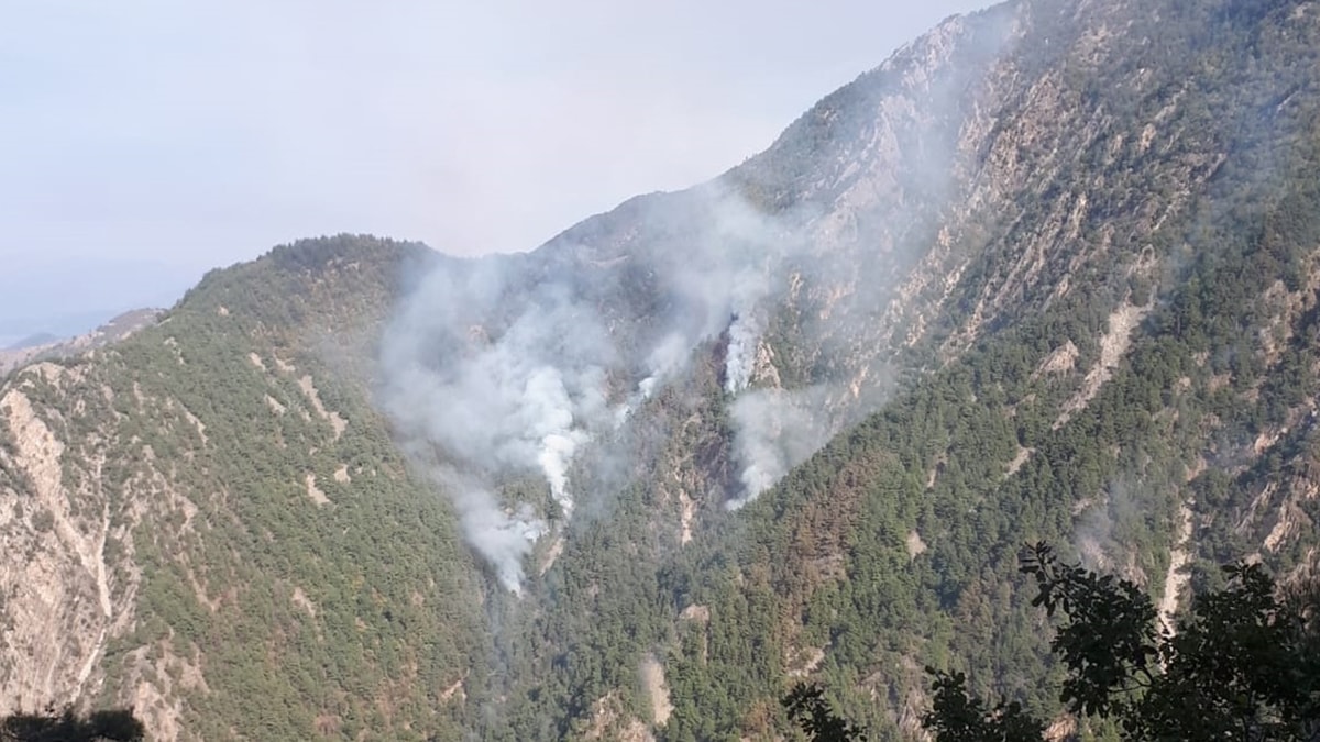 Kahramanmaraş’ta orman yangınına müdahale ediliyor
