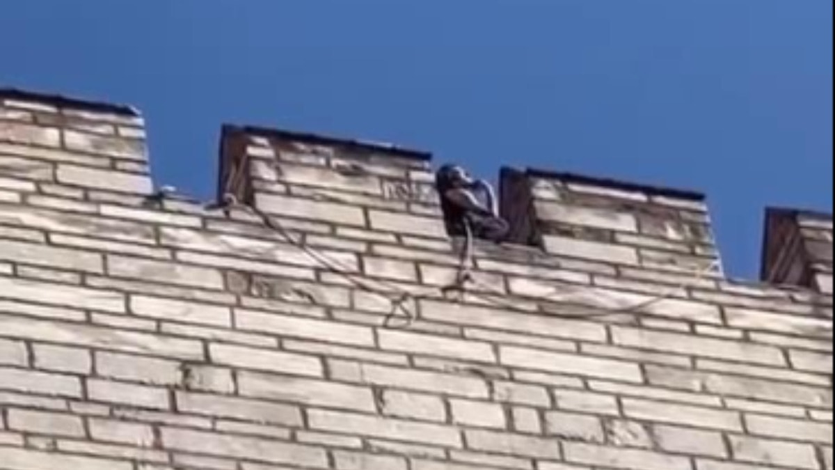 İstanbul’da çifte cinayet vahşeti: İki genç kadının kafaları kesildi