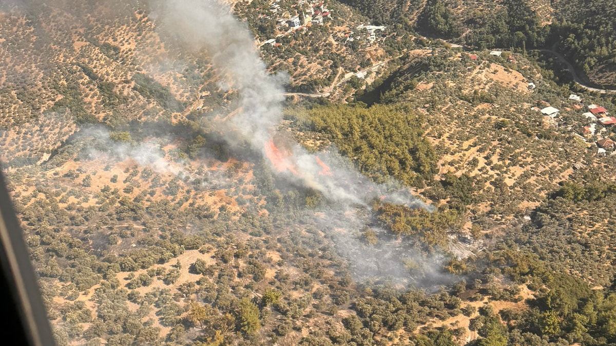 Zeytinlik alandaki yangın kontrol altında
