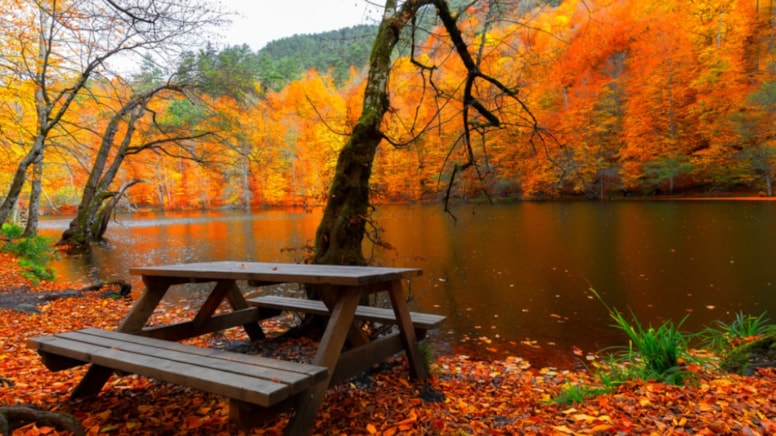 Kasım'da bir başka güzel! Mutlaka görmeniz gereken 5 yer...