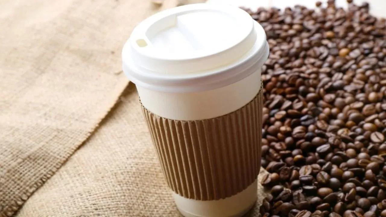 Türkiye'nin en büyüğü iflas yolunda