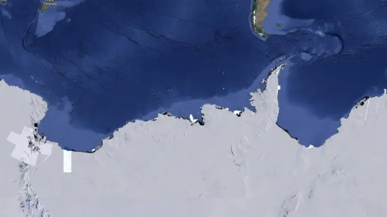 Girilmeyen bölgeye girdiler, devasa canlılar buldular! Yüzyıllardır burada yaşıyorlarmış