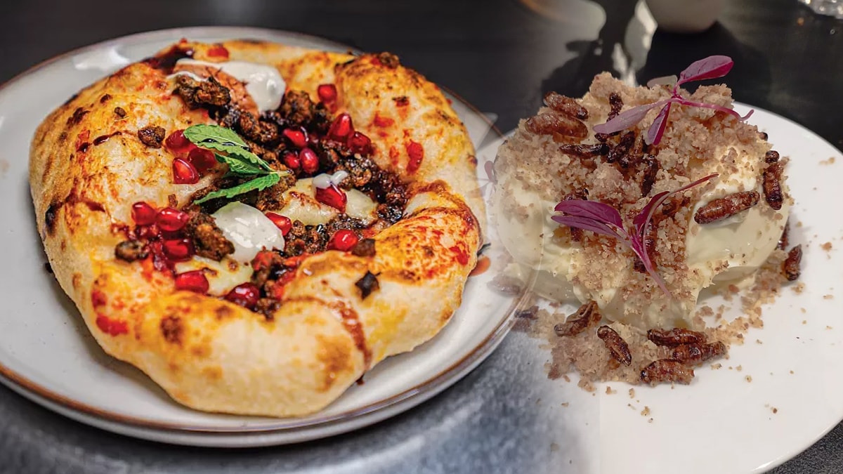 Yemeklerin tamamında böcek var! Şoke eden restoranın kapısında sıra oluyor