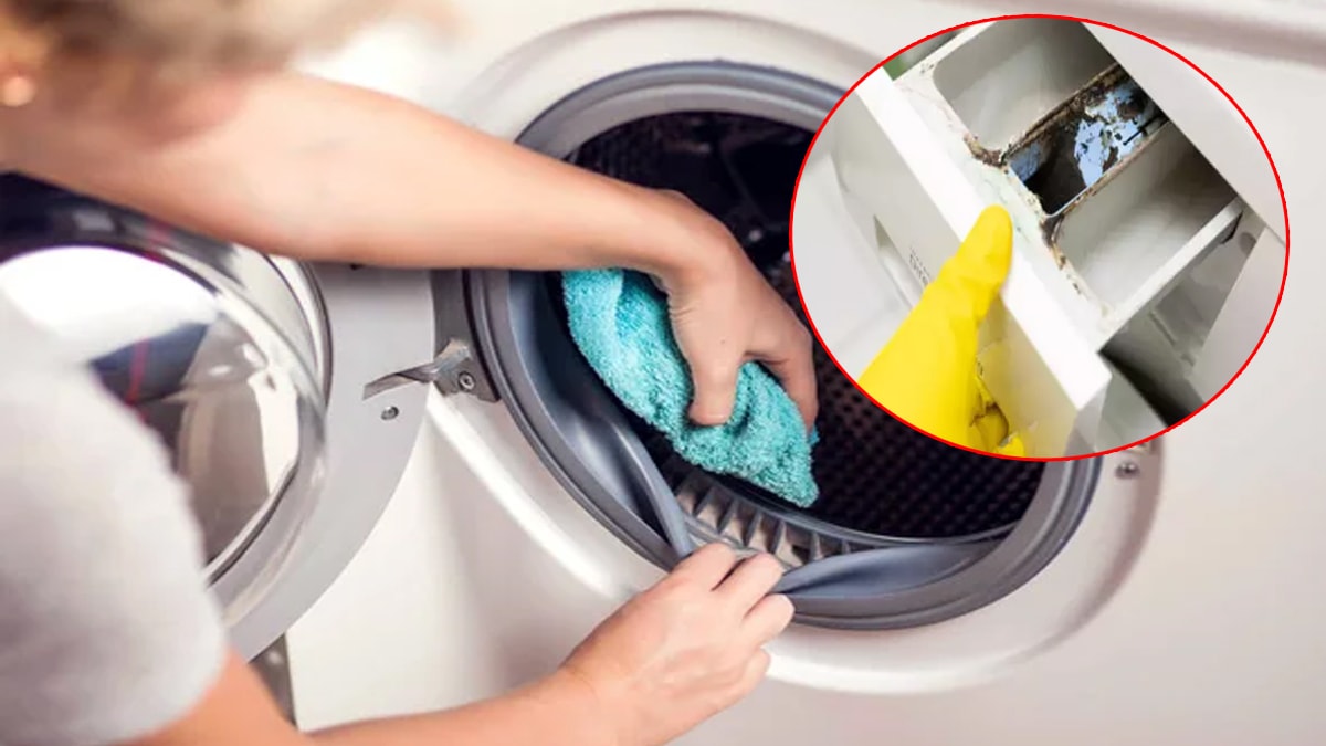 Çamaşır makinesini anında tertemiz yapacak! Her evde var, 2 damlası küfü akıtmaya yetiyor