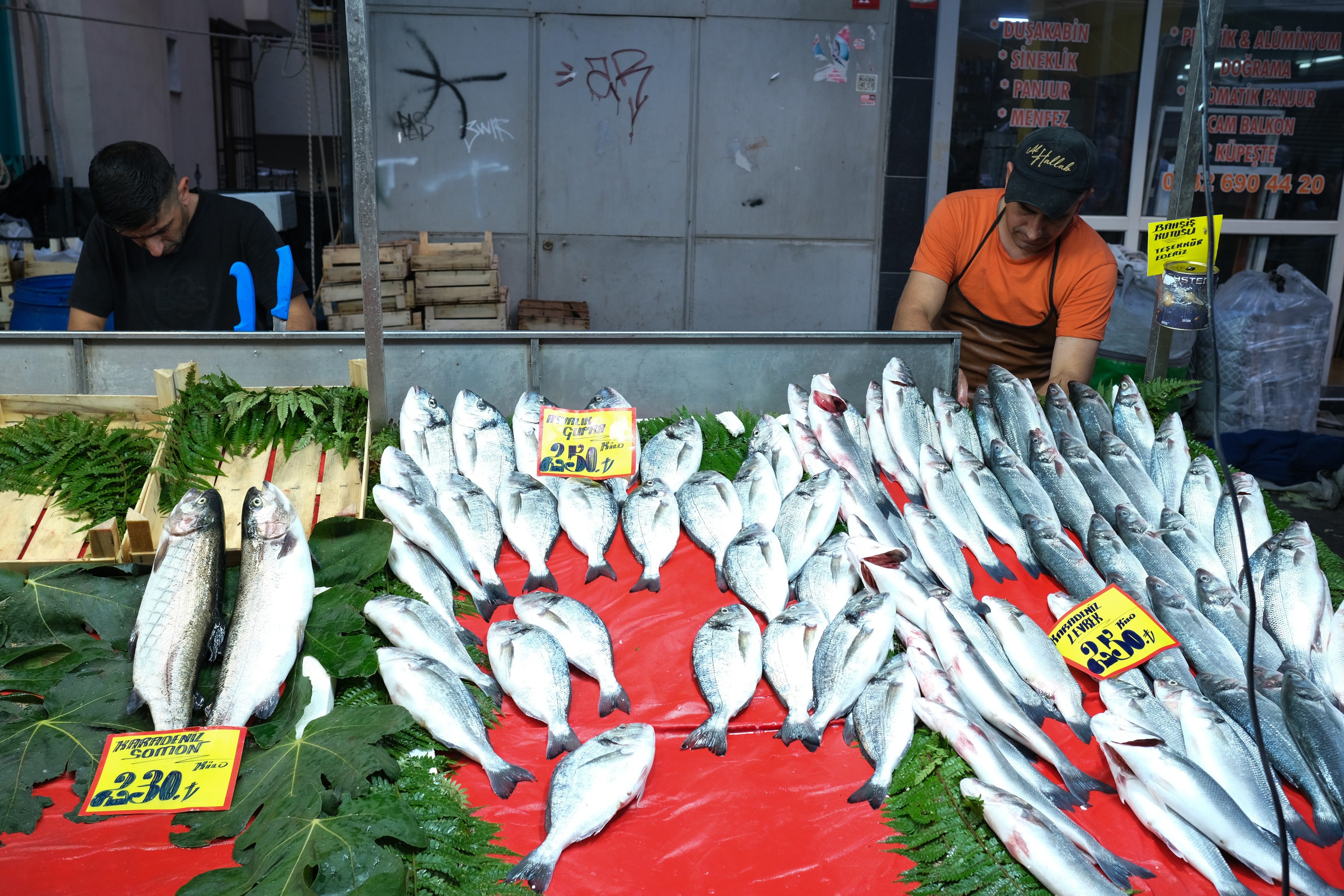Tarım ve Orman Bakanlığı açıkladı: Ekim ayında mutlaka bu balıkları yiyin