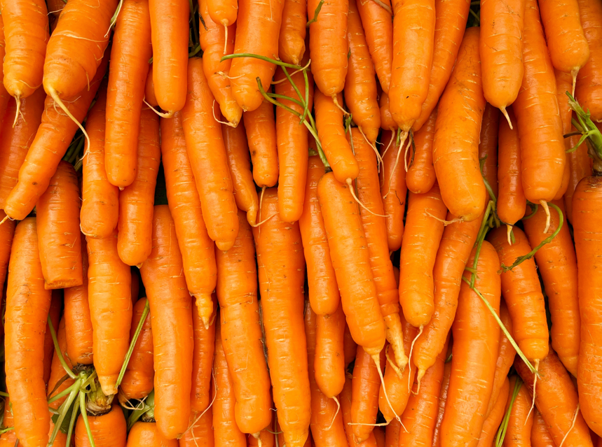 Havuç yemeden önce bilmeniz gereken 10 gerçek