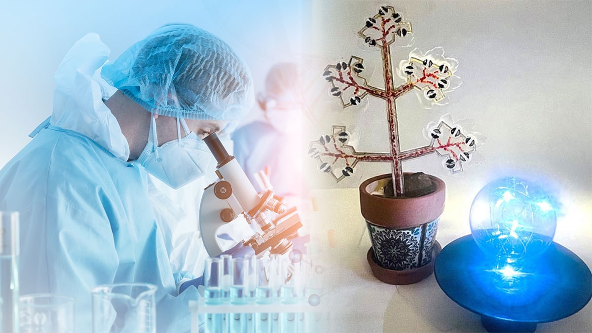 Hem elektrik üretiyor hem de evin havasını temizliyor