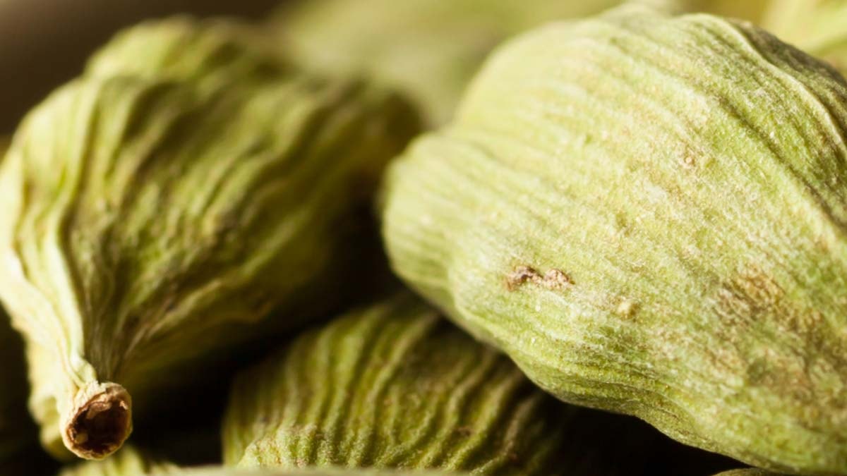 Faydaları saymakla bitmiyor: Günde 2 tane çiğnemek yeterli