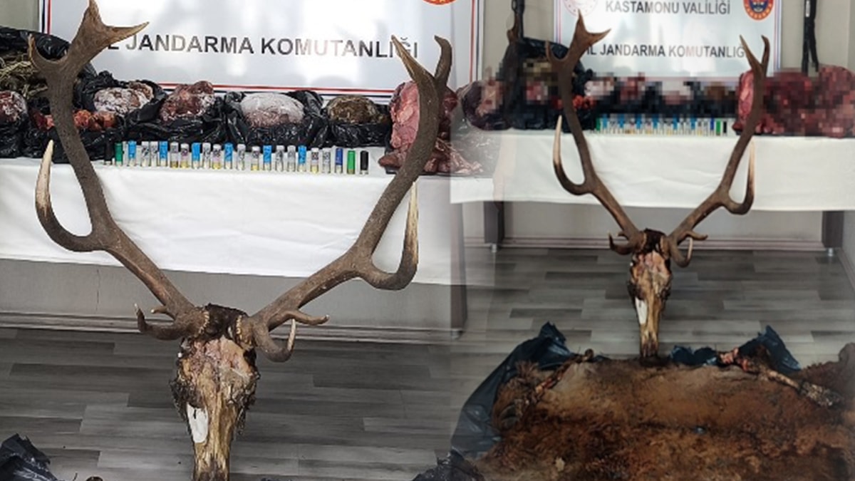 Bu kadarına pes! At ve eşekten sonra geyikten de sucuk yapmışlar