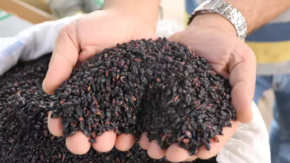 Türkiye'de yüzüne bakan yok! Norveçlilerin soğuk havalarda hasta olmamasının sırrı