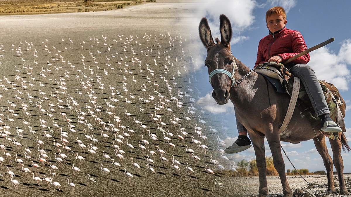 Sular hızla çekildi, görüntüler dikkat çekti