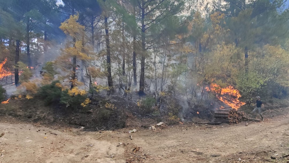 Osmaniye'de orman yangını kontrol altında