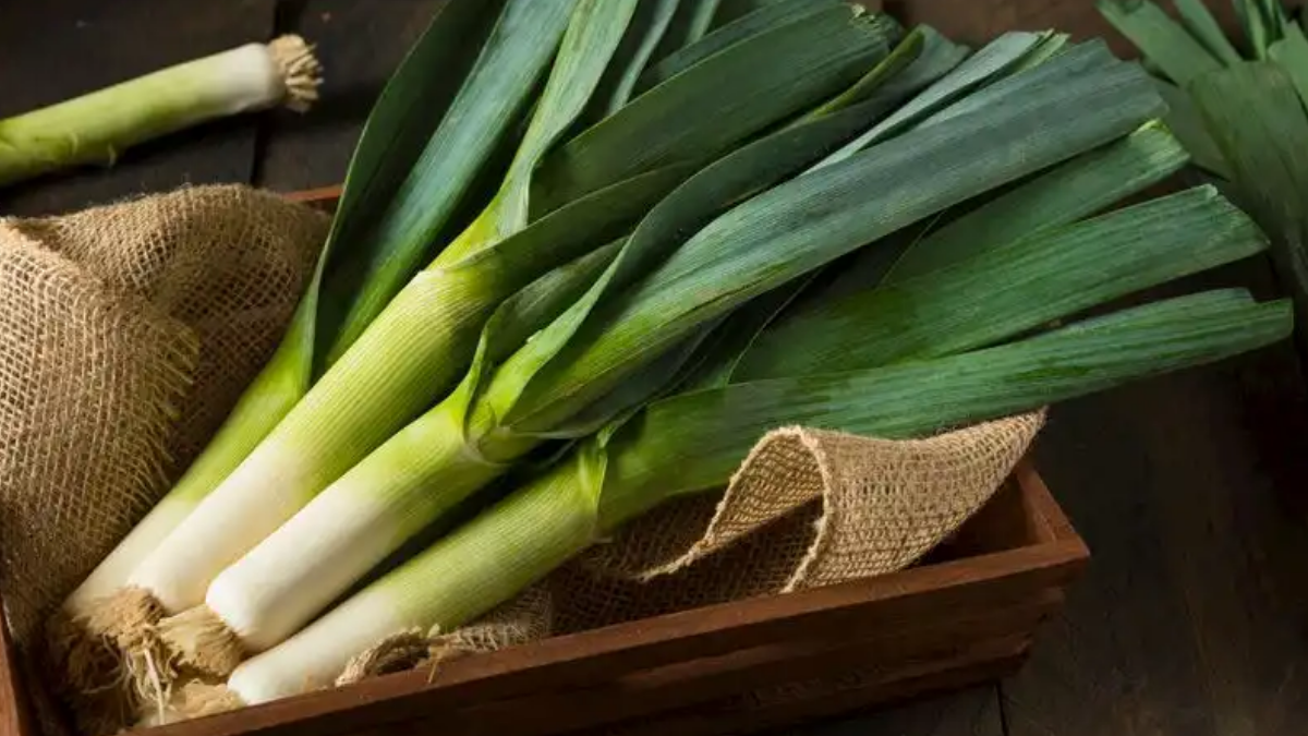 Kış gelmeden doktorlar uyardı: Pırasa yemeden önce bir kez daha düşünün
