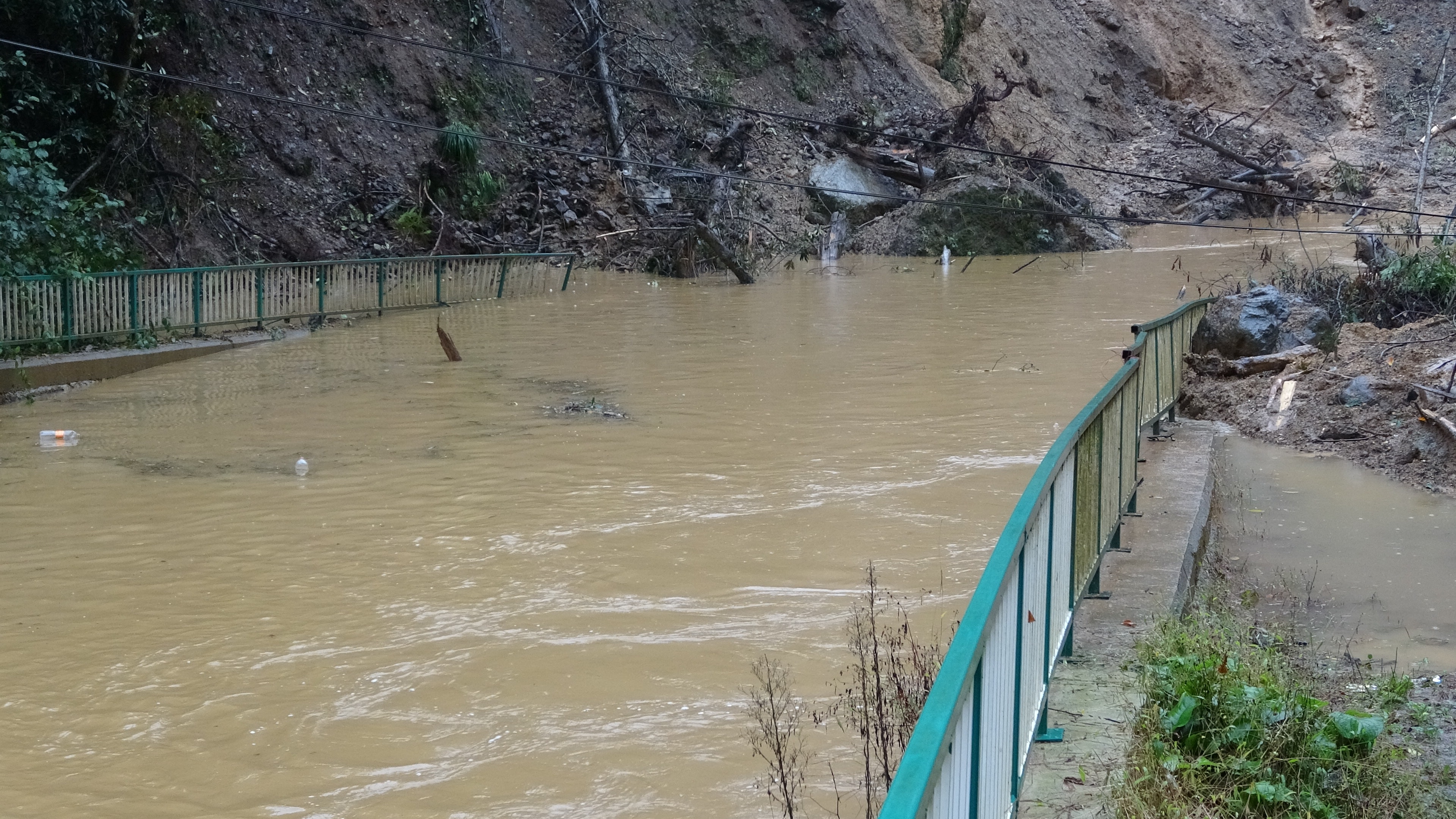 Rize'de heyelan etkisi: Su seviyesi yola ulaştı