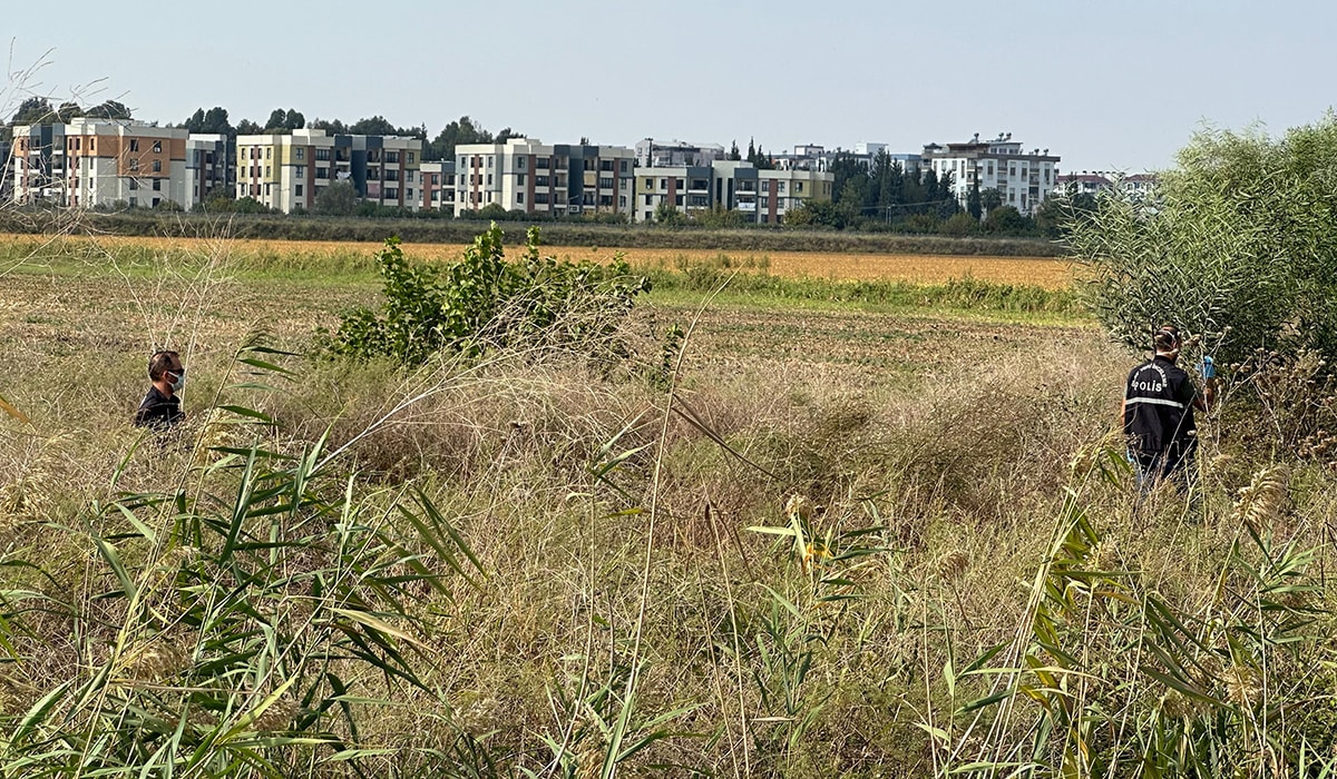 Sazlıkta parçalanmış ceset bulundu