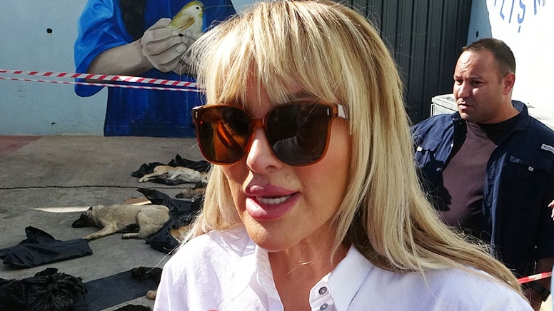 Seren Serengil siyasete gireceğini duyurdu