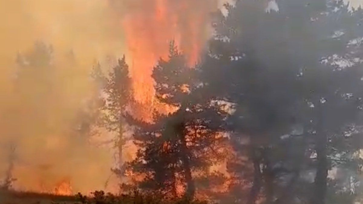 Sivas'ta yangın ormana sıçradı: Ekipler müdahale ediyor