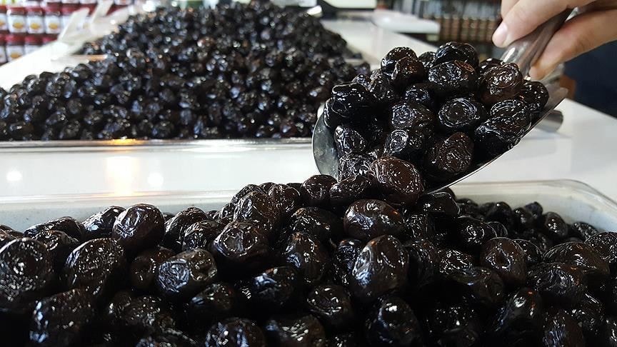 Marmarabirlik, 1 kilogram zeytinin maliyetini açıkladı