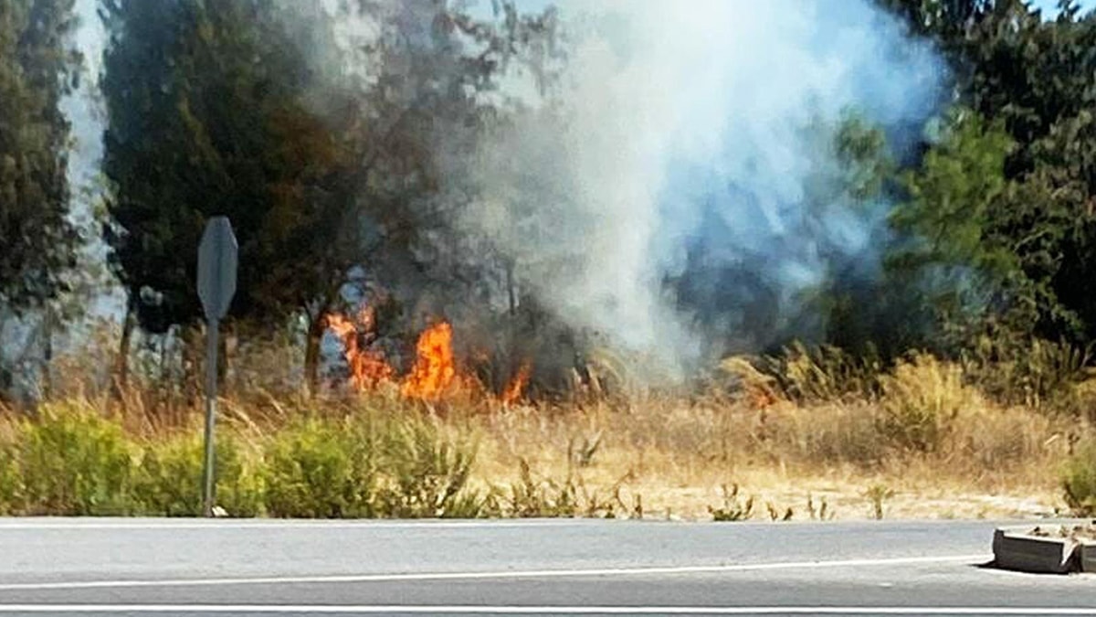 Yatağan'da orman yangını: Çıkış nedeni araştırılıyor