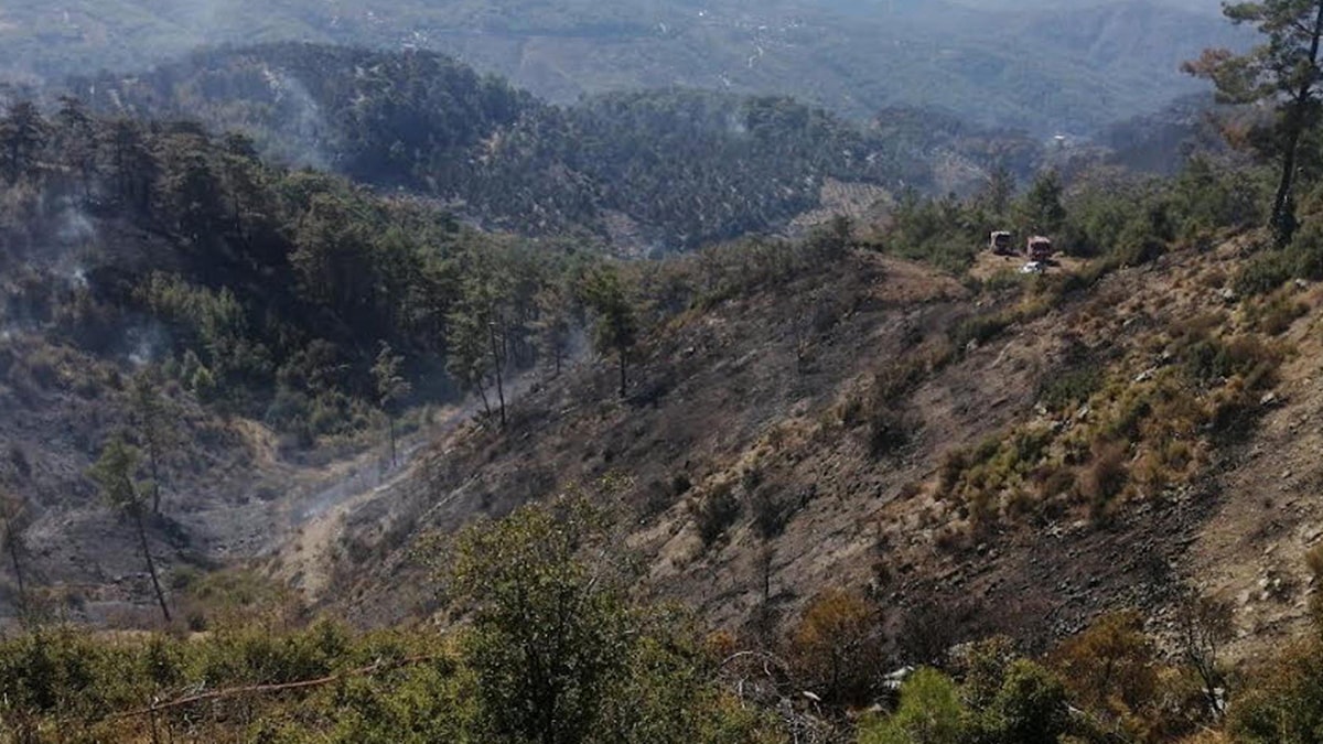Muğla'da ciğerlerimiz üç gündür yanıyor! Yangının nedeni belli oldu
