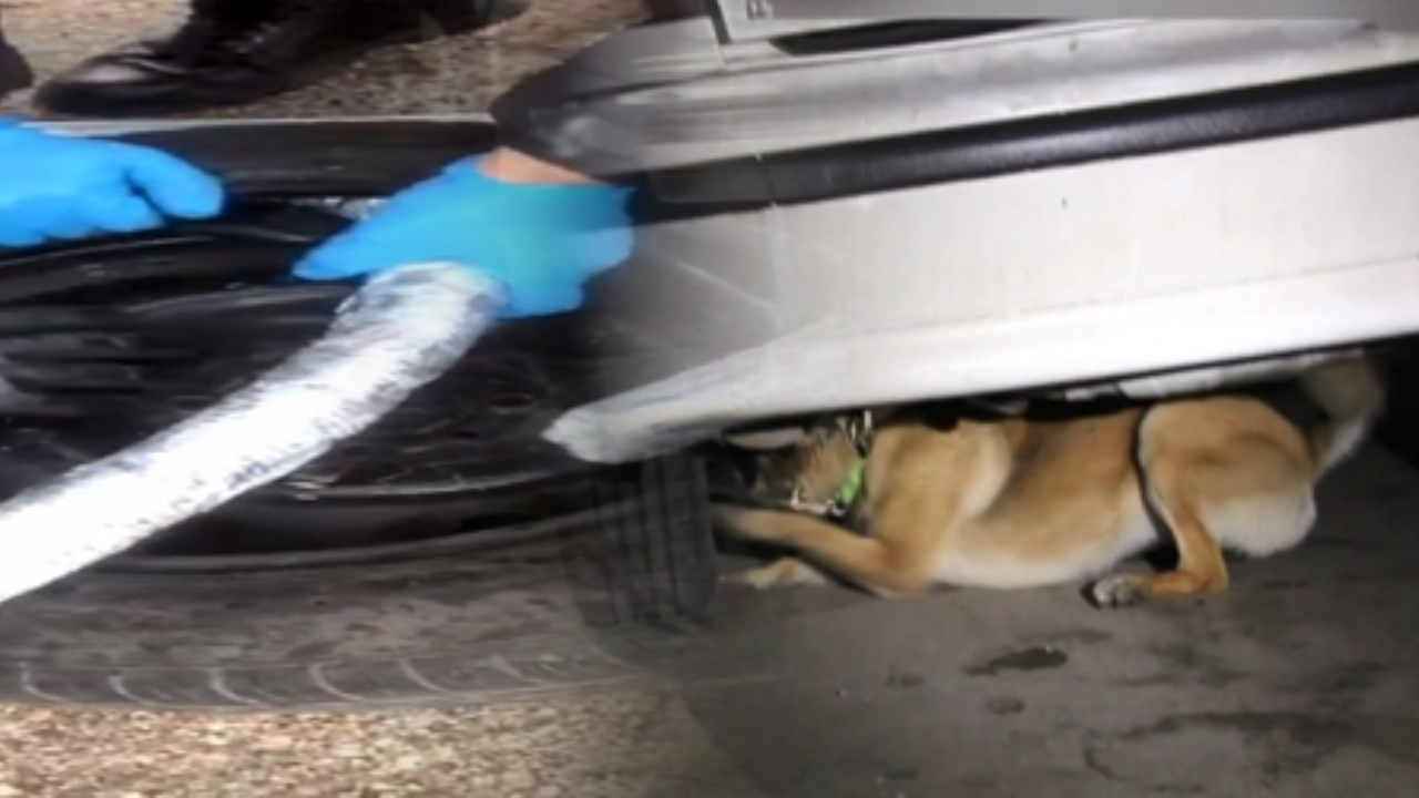 Lastiklerinde uyuşturucuyla yakalandı: 22 yıl hapiz cezası aldı