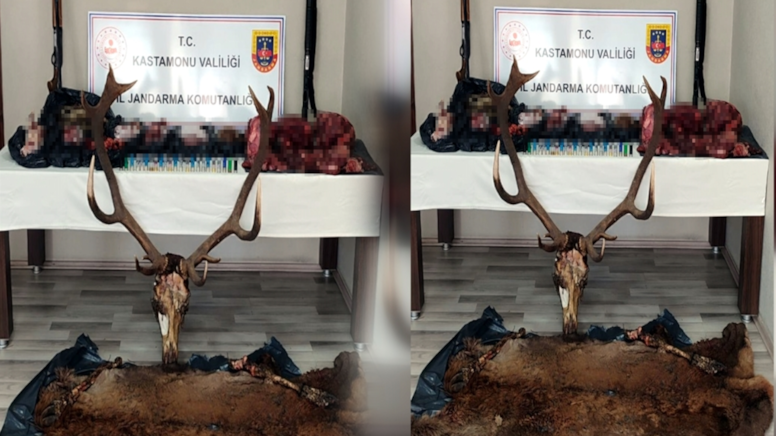 Geyik avcılarına 443 bin 426 TL lira ceza