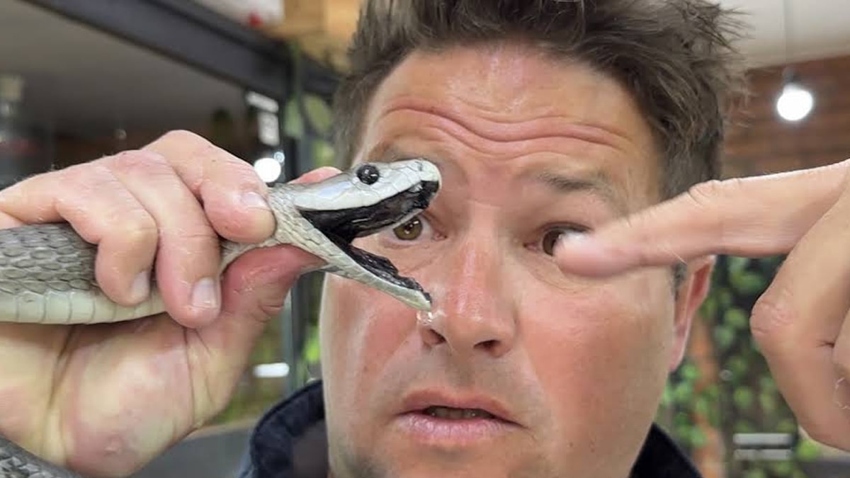 Zehirli yılan ısırdı! Ünlü Youtuber kurtarılamadı