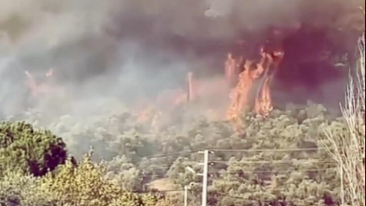 Muğla'da orman yangını: Ekipler müdahaleye başladı