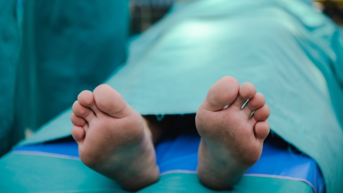 Türkiye'de bulamadılar, ithal edilecek! 